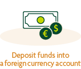Deposit funds into a foreign currency account currency image