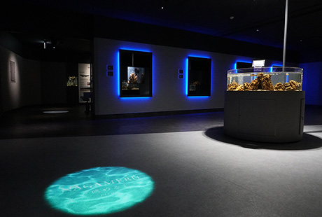 大丸松坂屋静岡店　本館7階「SMART AQUARiUM SHIZUOKA」