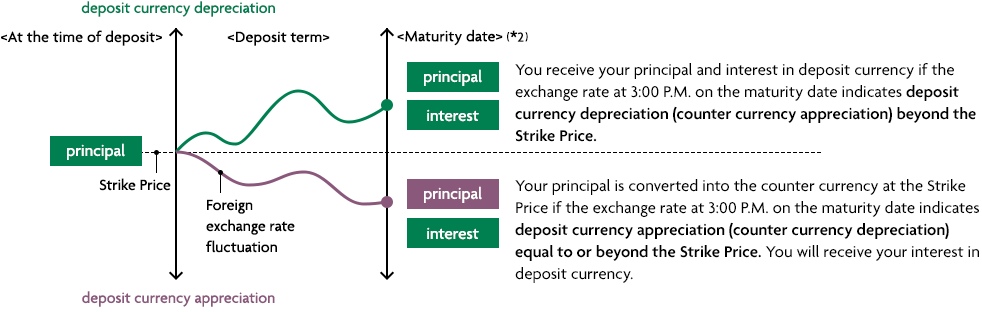 (Deposit in Japanese Yen) For Example Differential : &yen;0 deposit currency depreciation (At the time of deposit) (Deposit term) (Maturity date)*2 principal interest Strike Price Foreign exchange rate fluctuation deposit currency appreciation You receive your principal and interest in deposit currency if the exchange rate at 3:00 P.M. on the maturity date indicates deposit currency depreciation (counter currency appreciation) beyond the Strike Price. Your principal is converted into the counter currency at the Strike Price if the exchange rate at 3:00 P.M. on the maturity date indicates deposit currency appreciation (counter currency depreciation) equal to or beyond the Strike Price. You will receive your interest in deposit currency.