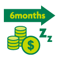 6months CURRENCY IMAGE