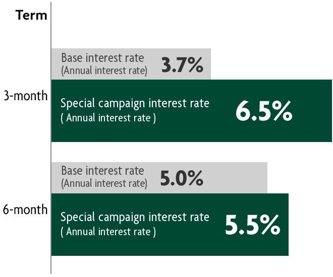 Term 3-month Base interest rate (Annual interest rate) 3.7% Special campaign interest rate (Annual interest rate) 6.5% 6-month Base interest rate (Annual interest rate) 5.0% Special campaign interest rate (Annual interest rate) 5.5%