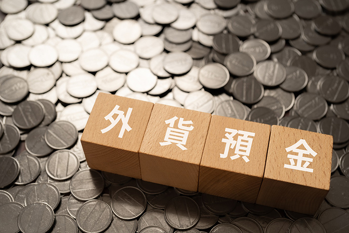 外貨普通預金とは？主な特徴、留意点を紹介