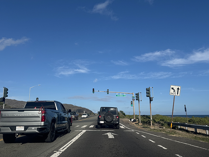 ハワイ移住に必要なビザや条件