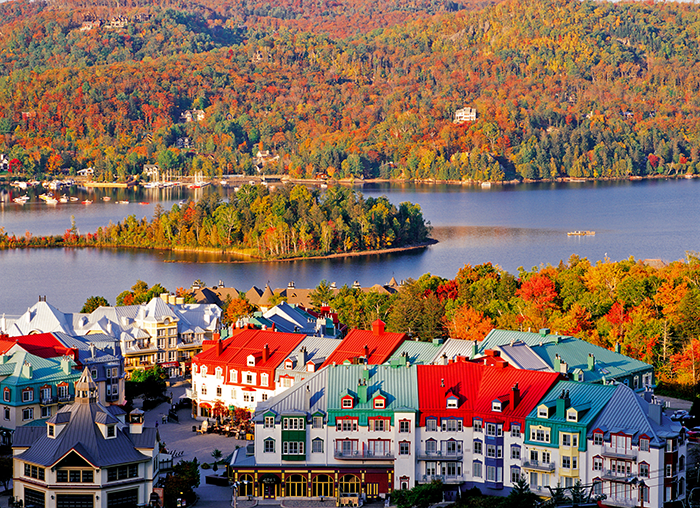 2.メープル街道