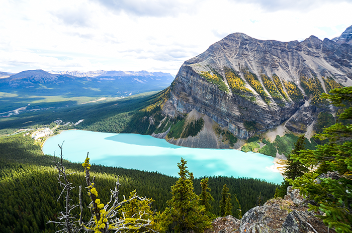 【西部エリア】都市観光も自然も楽しむ4泊6日プラン