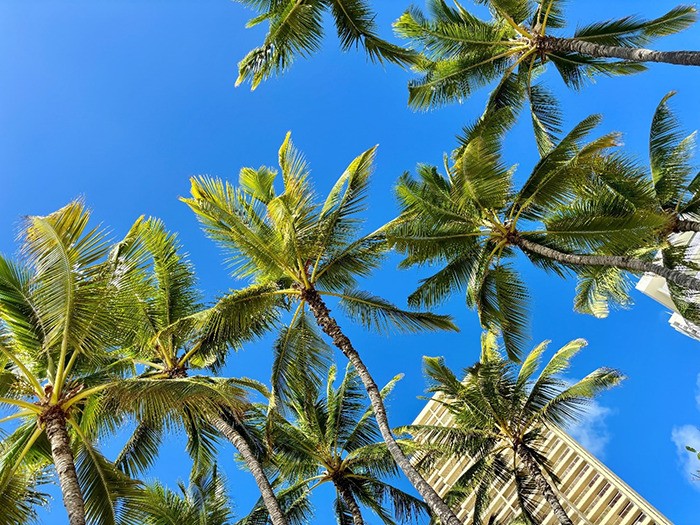 ハワイの基本情報