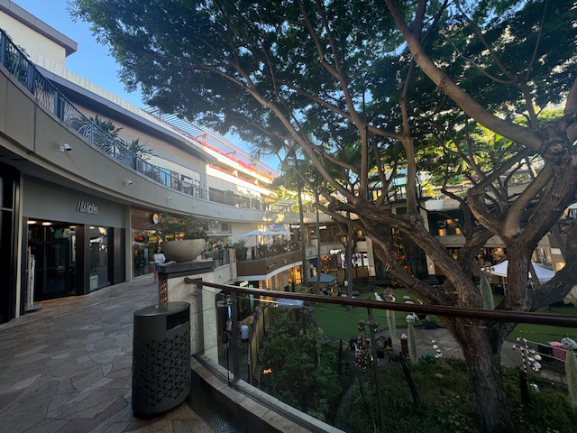 インターナショナルマーケットプレイス（International Market Place）