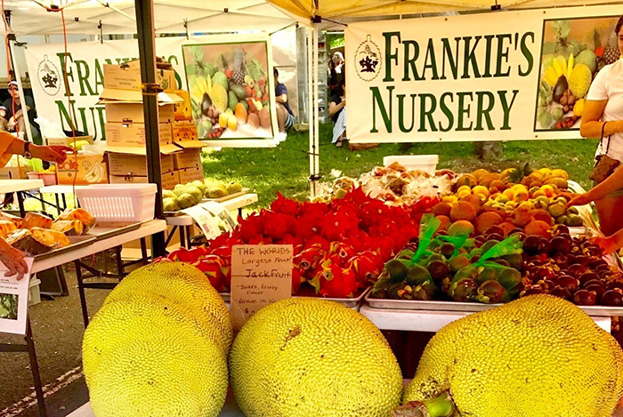 KCCファーマーズマーケット（KCC Farmers Market）