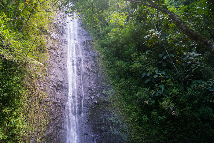マノア滝（Manoa Falls）