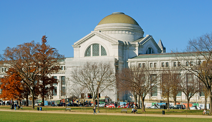 14. アメリカ自然史博物館