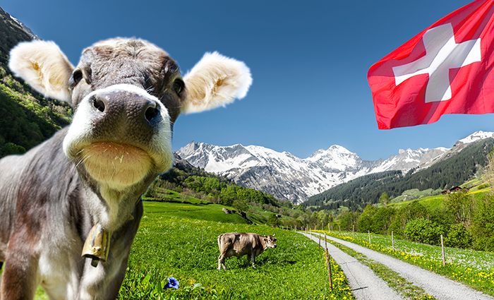 9. スイス