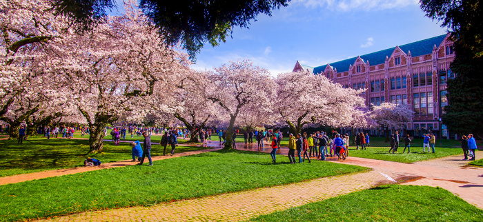 ワシントン大学（University of Washington）