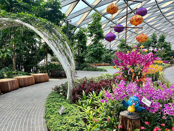 大人も子どもも楽しめるアスレチック施設「キャノピー・パーク(Canopy Park)」