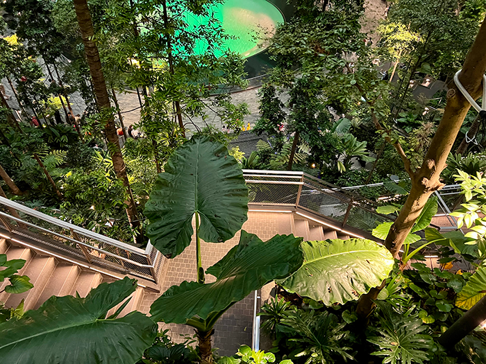 撮影スポットにも!それぞれにテーマがある庭園(Garden)