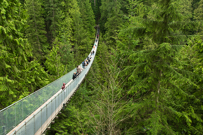 キャピラノ吊り橋（Capilano Suspension Bridge）