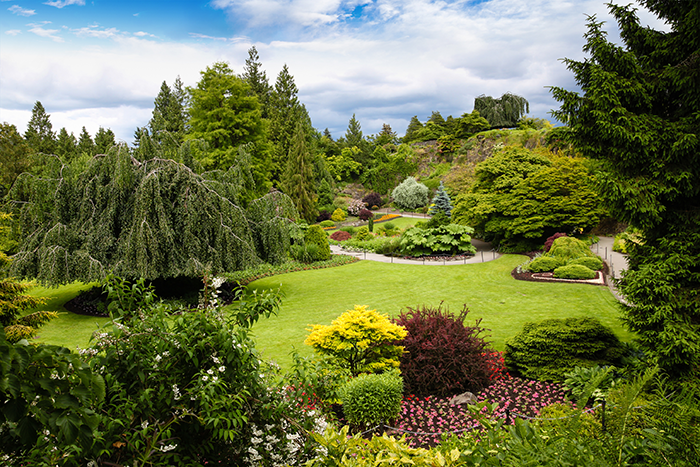 クイーンエリザベス公園（Queen Elizabeth Park）