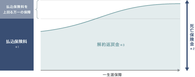 払込保険料＊1　払込保険料を上回る万一の保障　解約返戻金＊3　死亡保険金＊2　一生涯保障