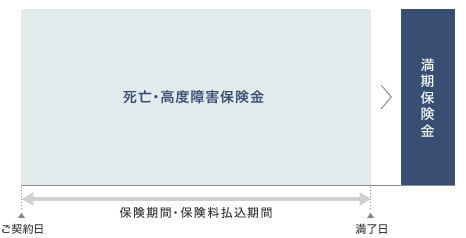 死亡・高度障害保険金　満期保険金　[ご契約日　保険期間・保険料払込期間　満了日]