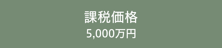 課税価格5,000万円