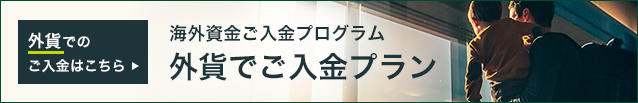外貨でのご入金はこちら 海外資金ご入金プログラム 外貨でご入金プラン